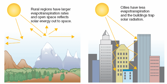Concrete roadways and buildings reduce evapotranspiration and absorb more solar radiation than surrounding