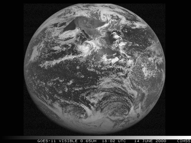 GOES-11 Imager full disk all band java loop - Click to View