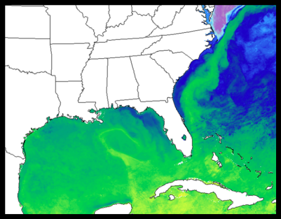 SPoRT MODIS Sea Surface Temperature