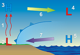 Sea breeze circulation - click to enlarge