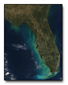 MODIS image of Florida