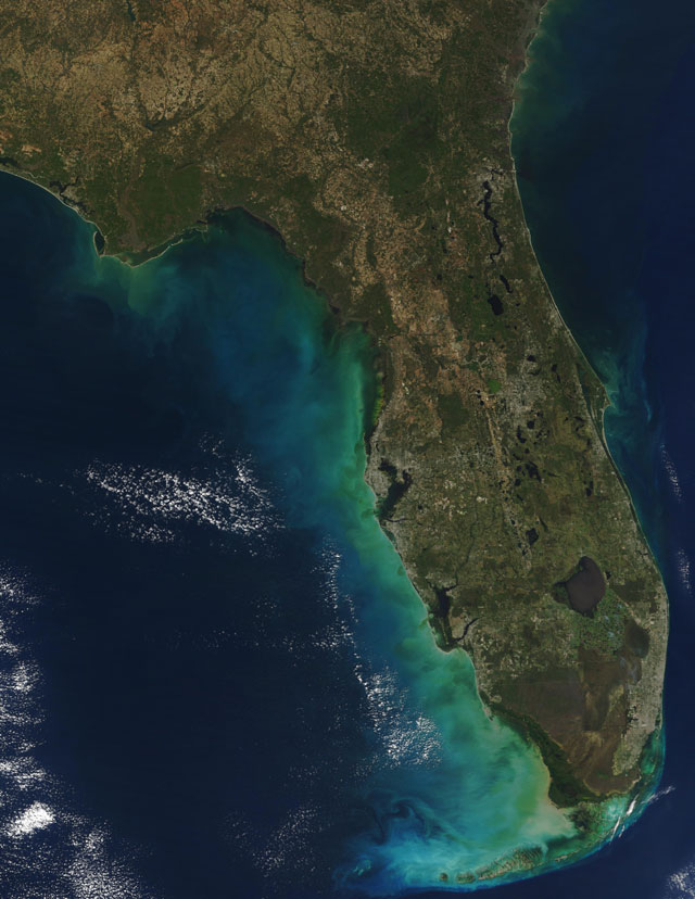 Image of Florida from polar orbiting satellite