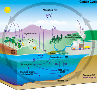 Global and Regional Climate Change