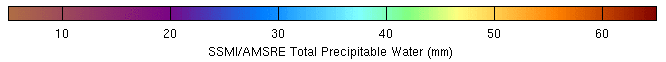 MIMIC total precipitable water