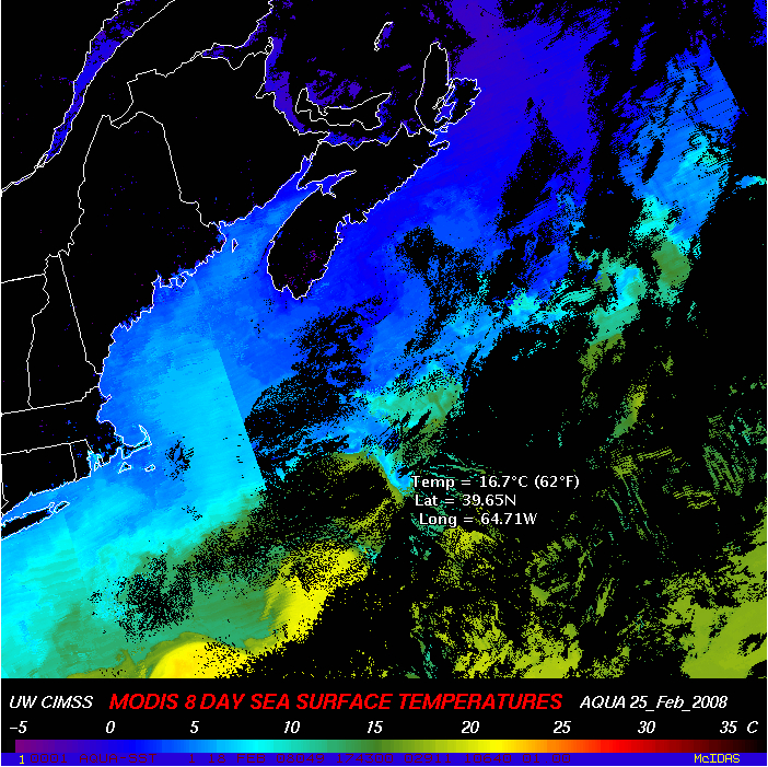 MODIS sea surface temperature (SST) product