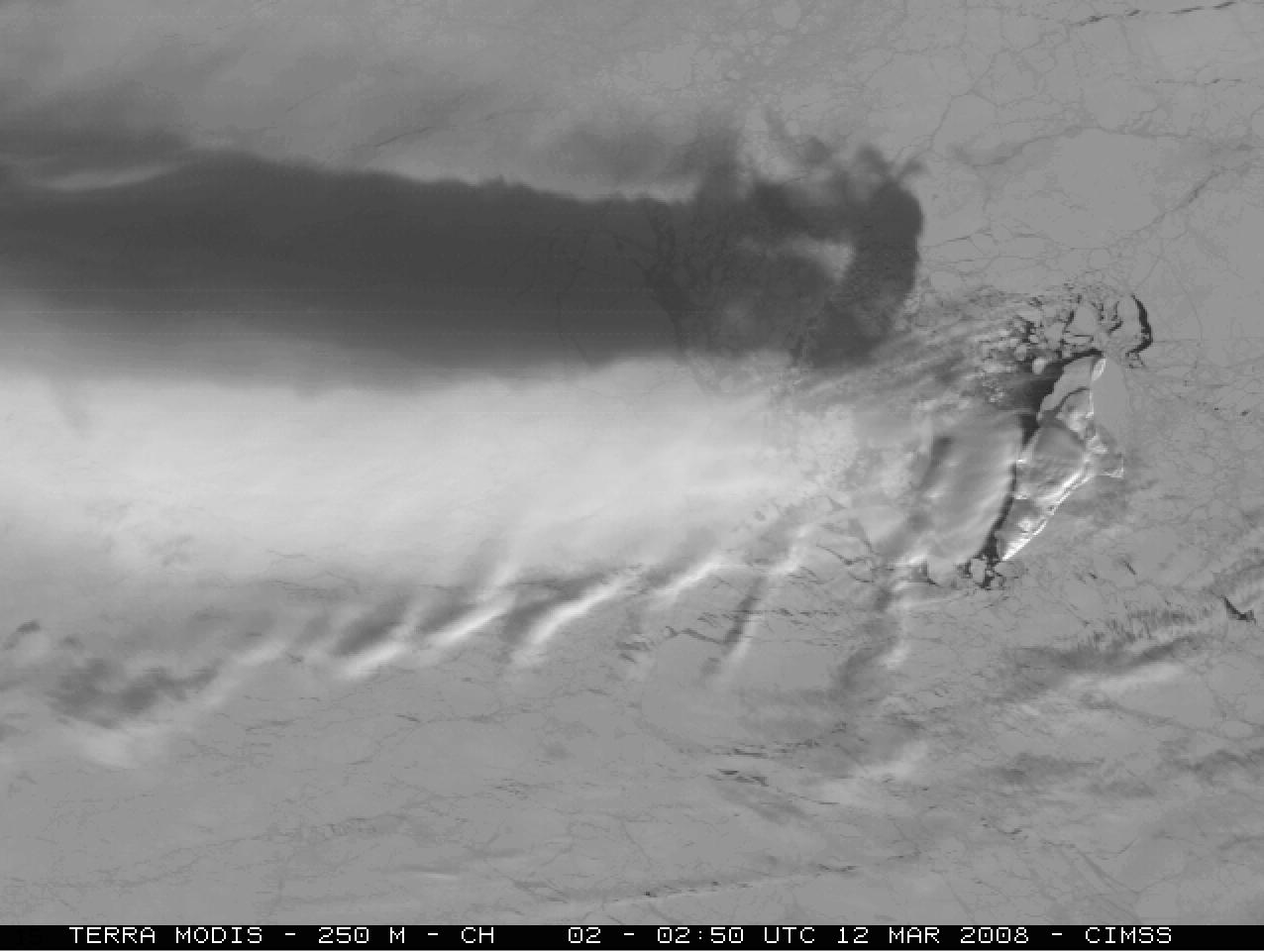 MODIS visible image (250m resolution)