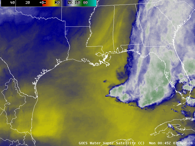 GOES-12 6.5 Âµm water vapor images (Animated GIF)