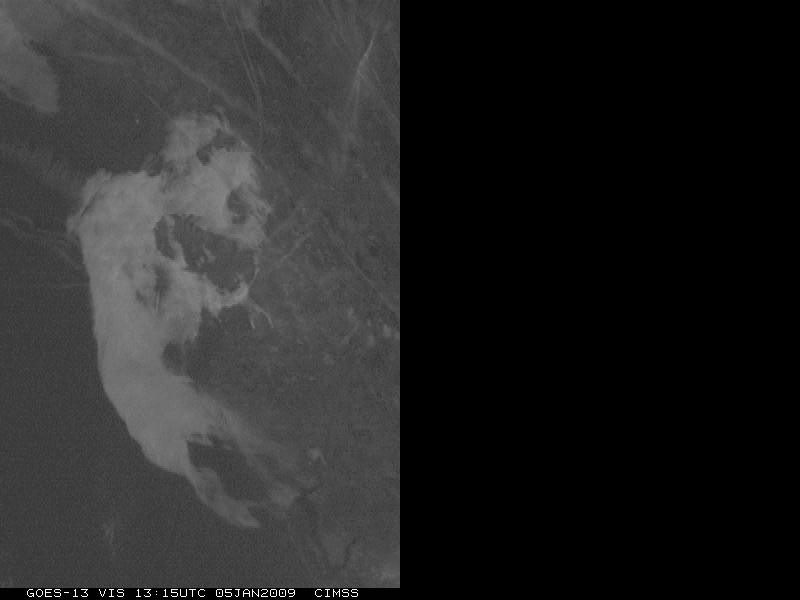 GOES-13 and GOES-12 visible image (centered over Tampa, Florida)