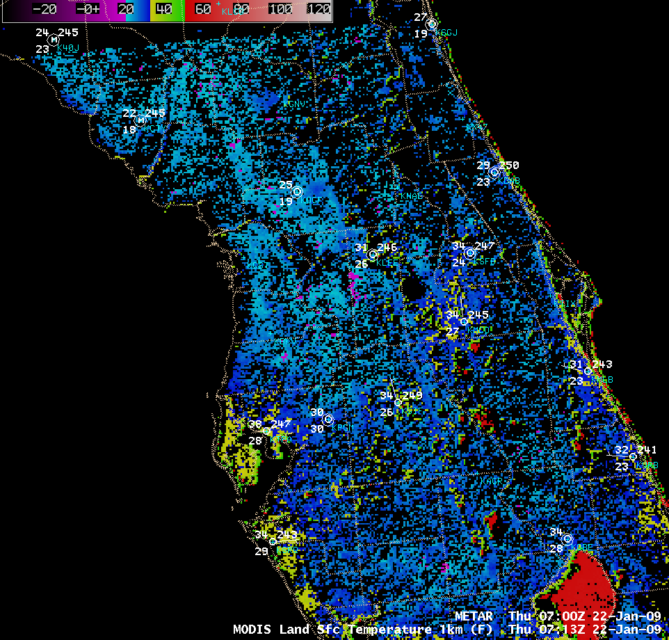 MODIS Land Surface Temperature product (northern Florida)