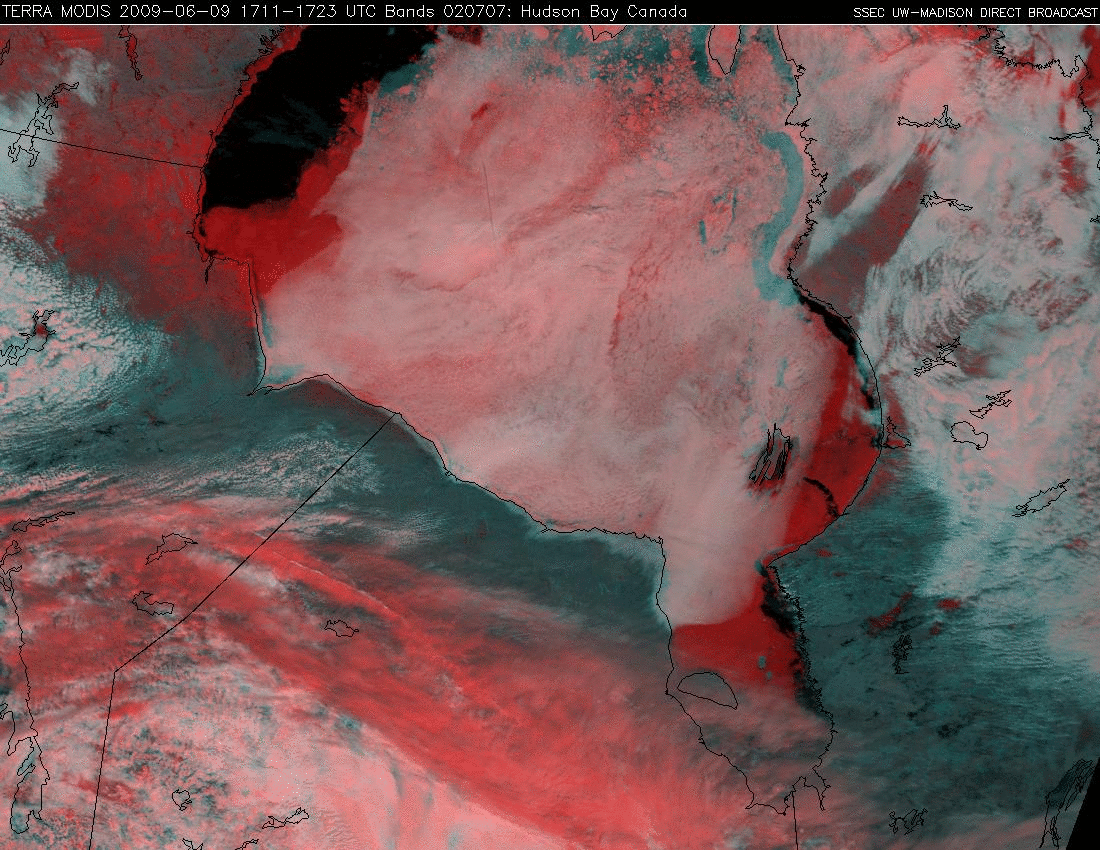 MODIS false color images