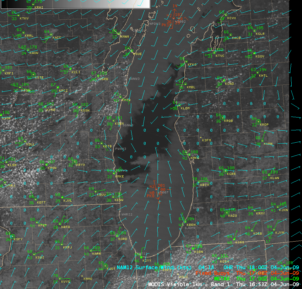 MODIS visible image with NAM12 surface winds