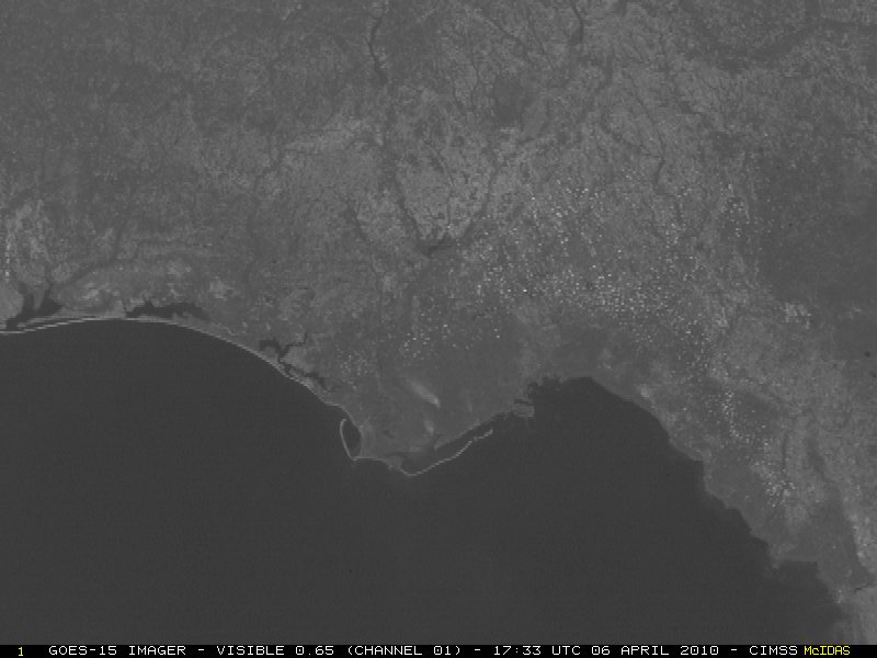Smoke plumes from small fires burning in the Florida panhandle region