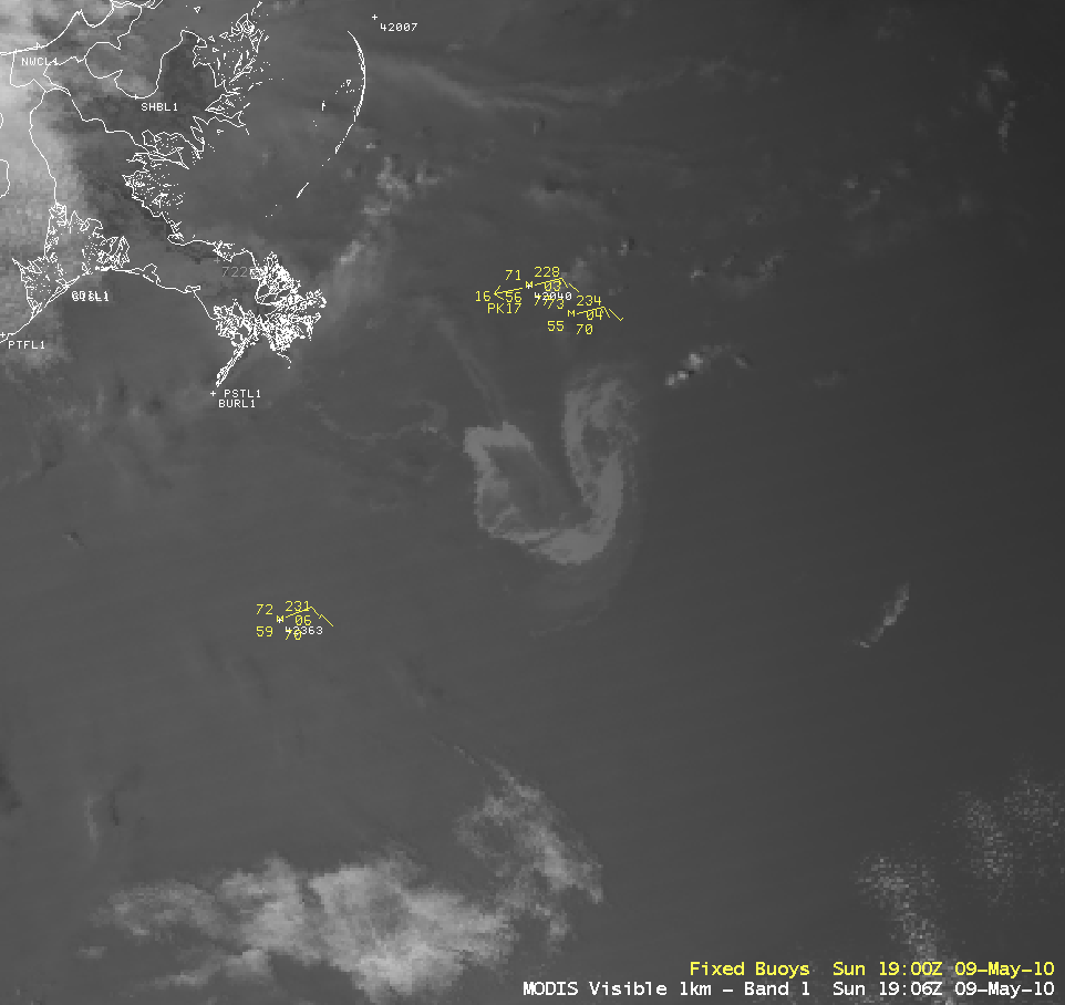 MODIS 0.65 Âµm visible and 3.7 Âµm shortwave IR images