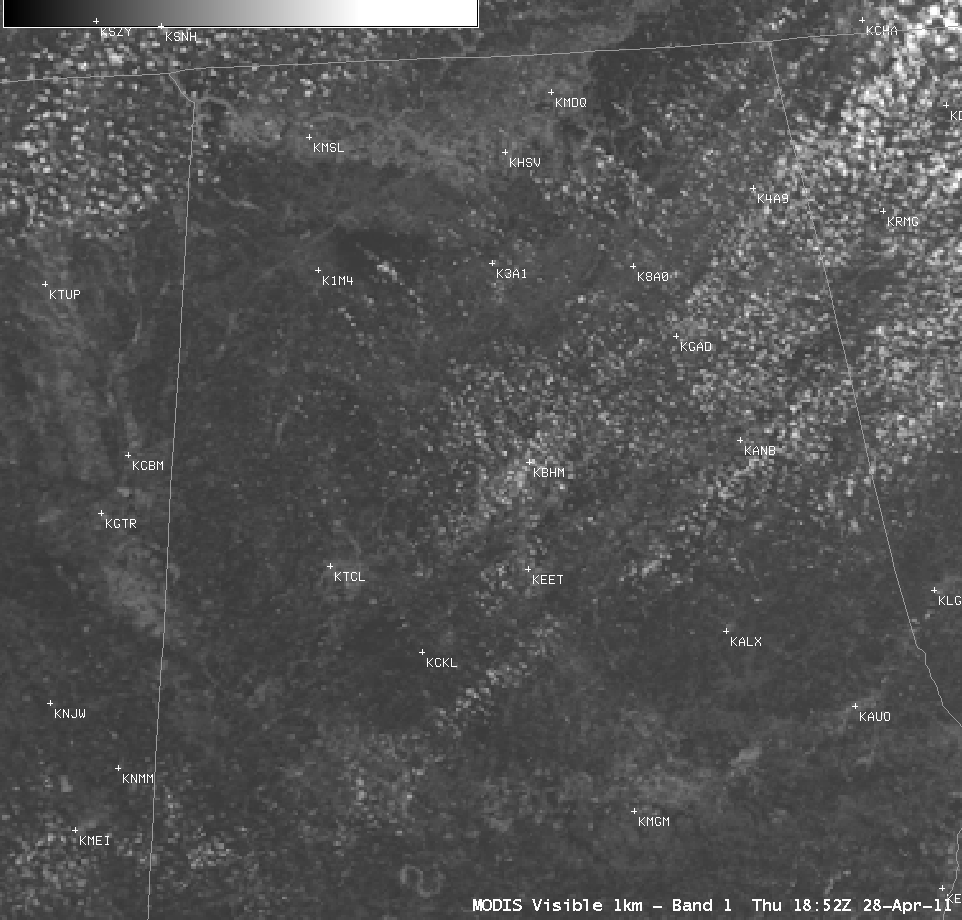 MODIS 0.65 Âµm visible image + MODIS Normalized Difference Vegetation Index product