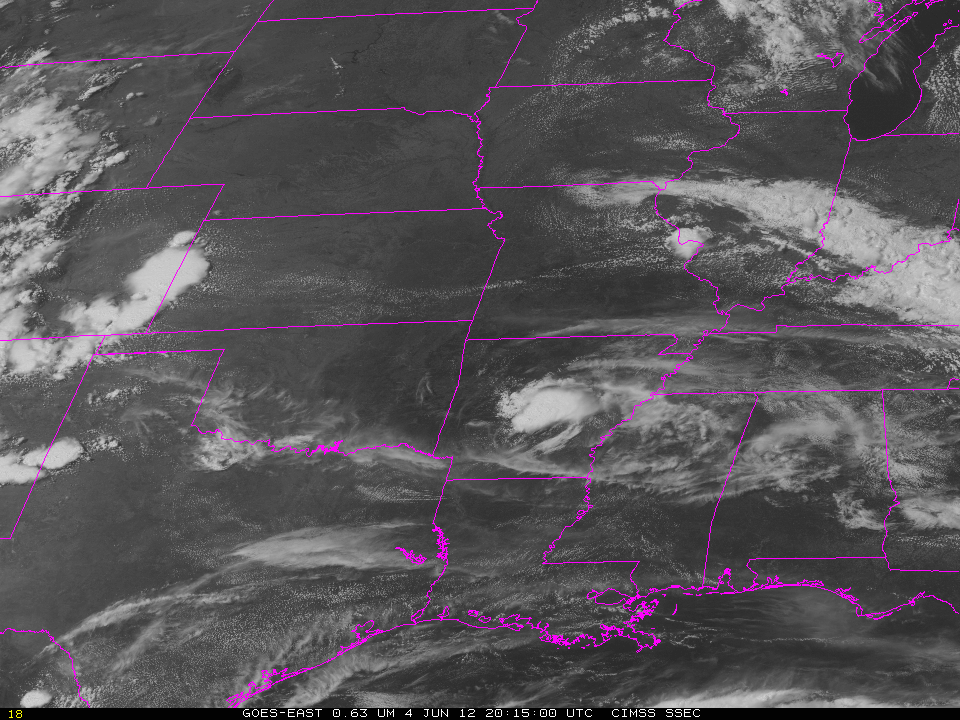 GOES-13 0.63 Âµm Visible Imagery (click image to play animation)