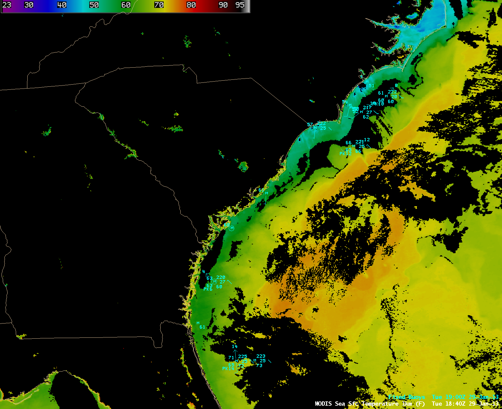 MODIS 0.65 Âµm visible channel image + MODIS Sea Surface Temperature product
