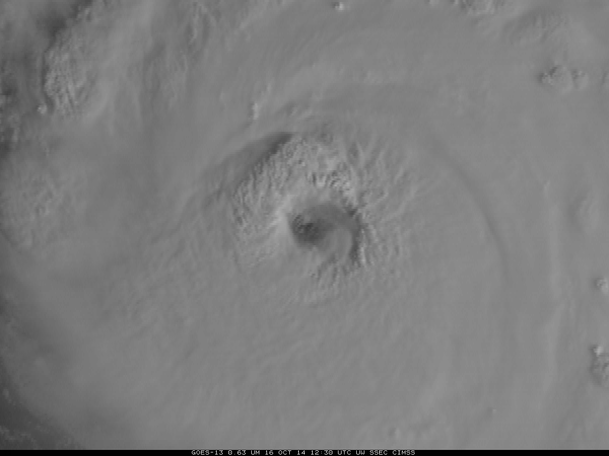GOES-13 0.63 µm visible channel images, centered over the eye of Gonzalo (click to play animation)
