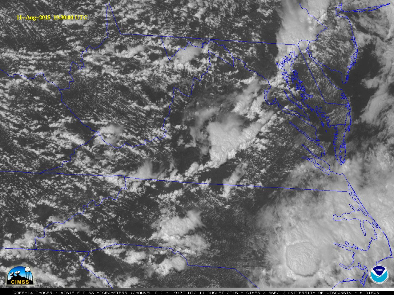 GOES-14 visible (0.63 µm) images [click to play MP4 animation]