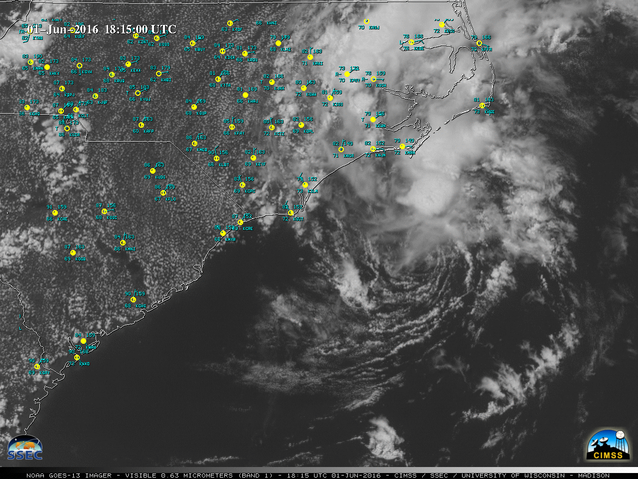 GOES-13 Visible (0.63 µm) images [click to play MP4 animation]