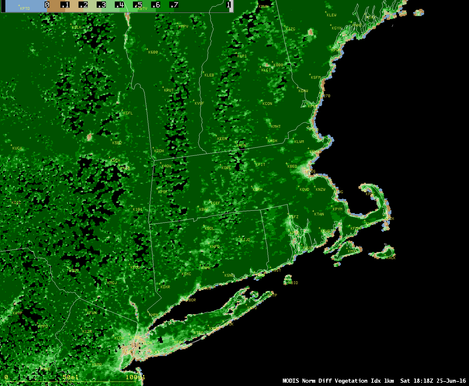 Aqua MODIS Normalized Difference Vegetation Index (NDVI) product [click to enlarge]