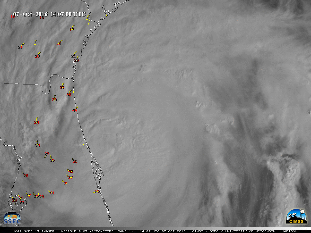 GOES-13 Visible (0.63 um) images, with hourly surface winds and gusts in knots [Click to play animation]