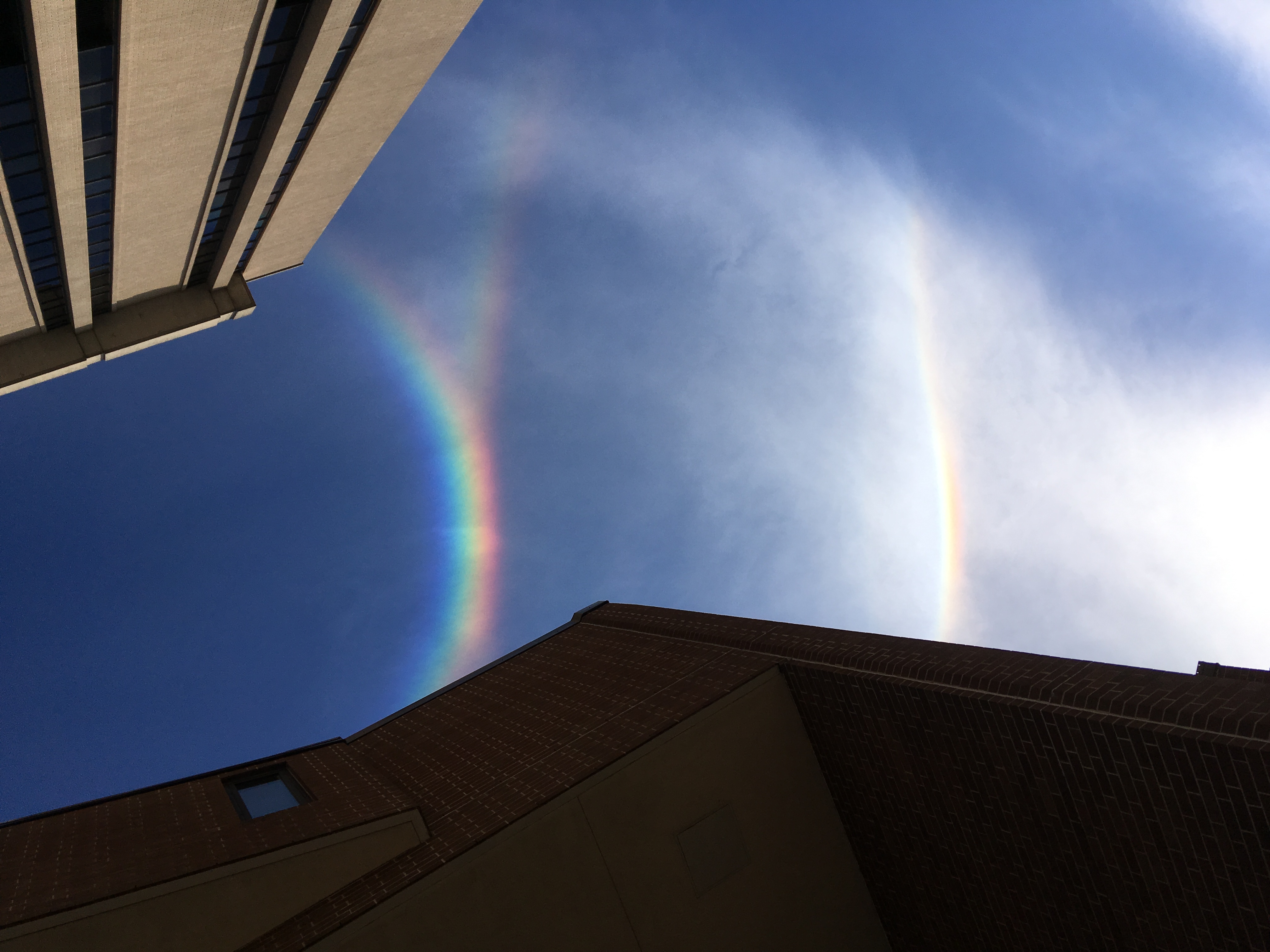 Photo showing a Circumzenithal Arc with a Supralateral Arc, in addition to an Upper Tangent Arc.