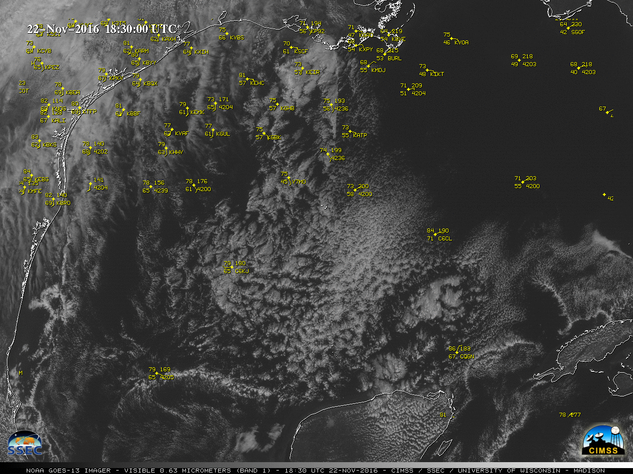 GOES-13 Visible (0.63 µm) images, with hourly surface/buoy/ship reports [click to play animation]