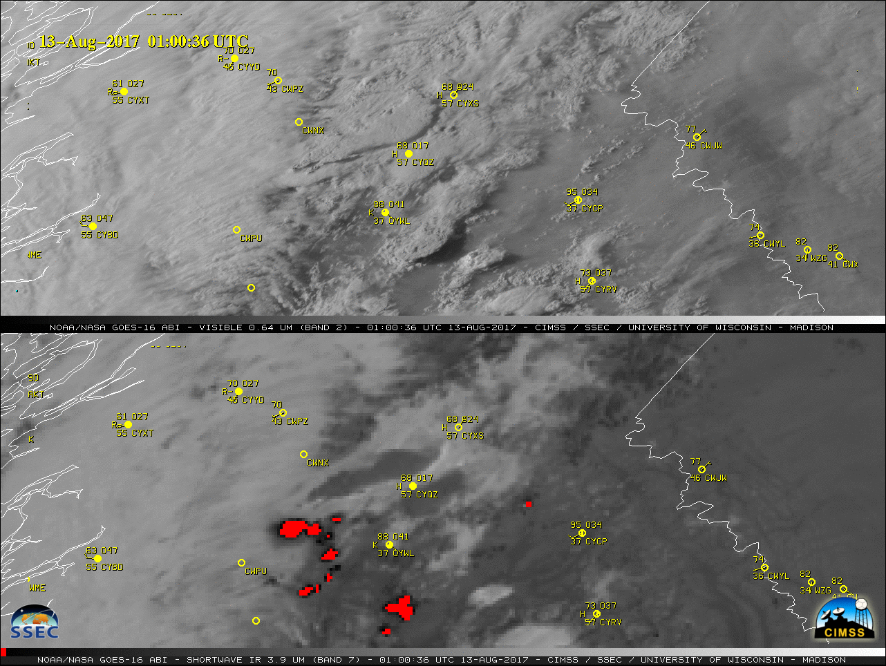 GOES-16 Visible (0.64 µm) and Shortwave Infrared (3.9 µm) images, with hourly surface reports plotted in yellow [click to play animation]