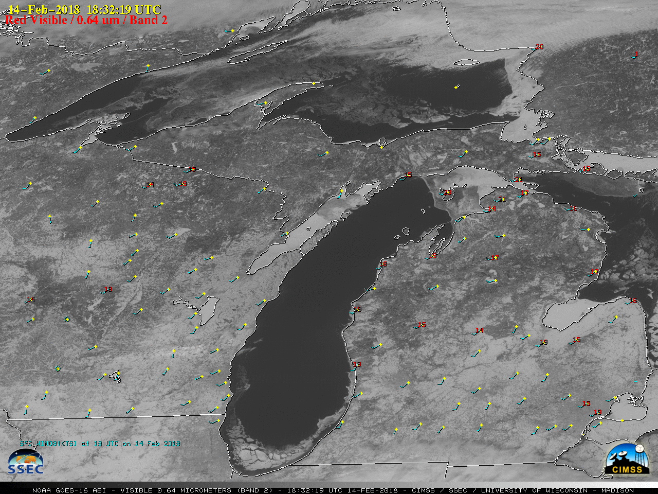 GOES-16 "Red" Visible (0.64 µm) images, with hourly plots of surface wind barbs in cyan and wind gusts (kn0ts) in red (click to play Animated GIF)