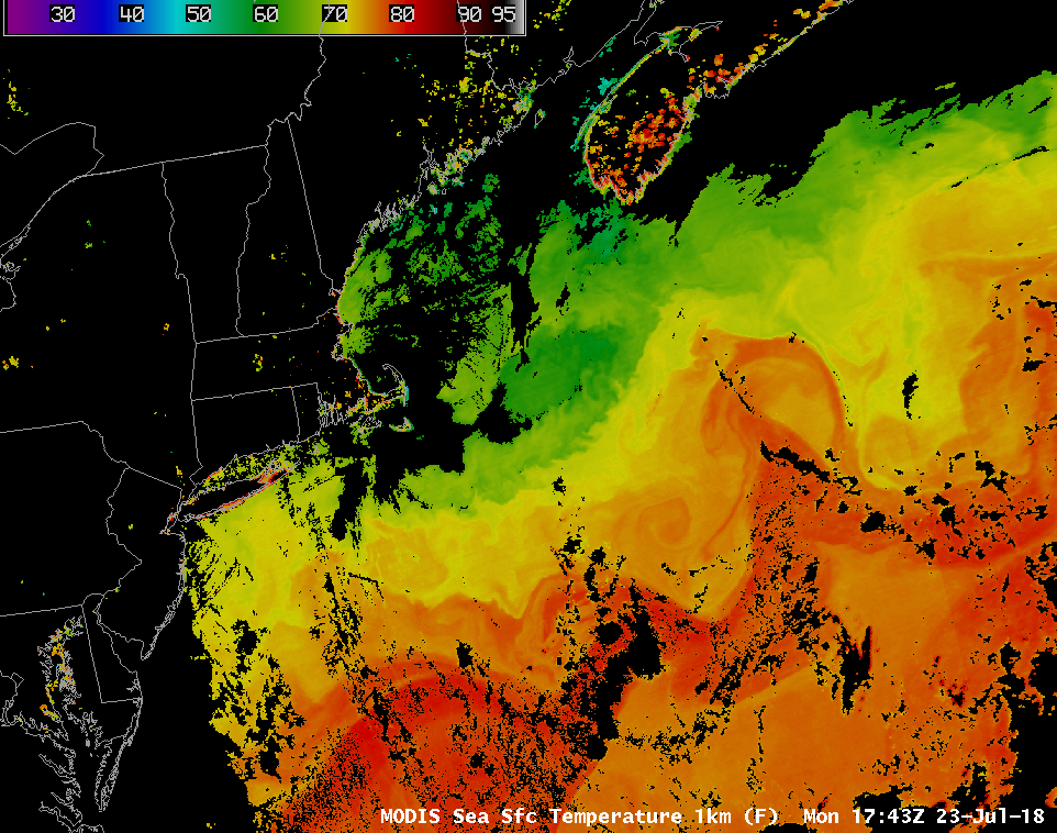 Aqua MODIS Sea Surface Temperature product from 23 July [click to enlarge]