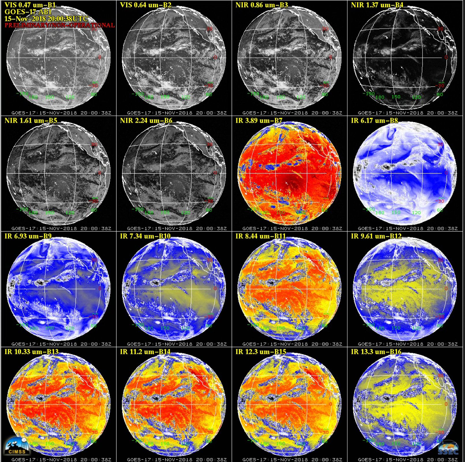 Full Disk images from the 16 ABI bands of GOES-17 [click to play MP4 animation]