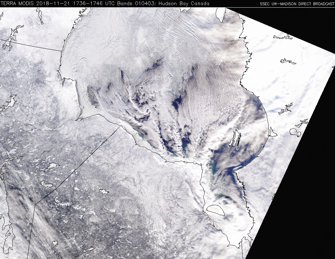 Terra MODIS True Color and False Color RGB images on 21 November [click to enlarge]
