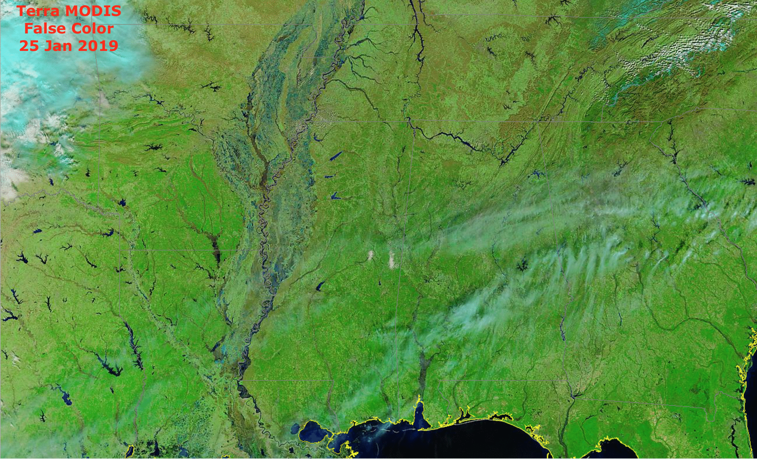 Terra MODIS False Color RGB images from 25 January and 24 February 2019 [click to enlarge]