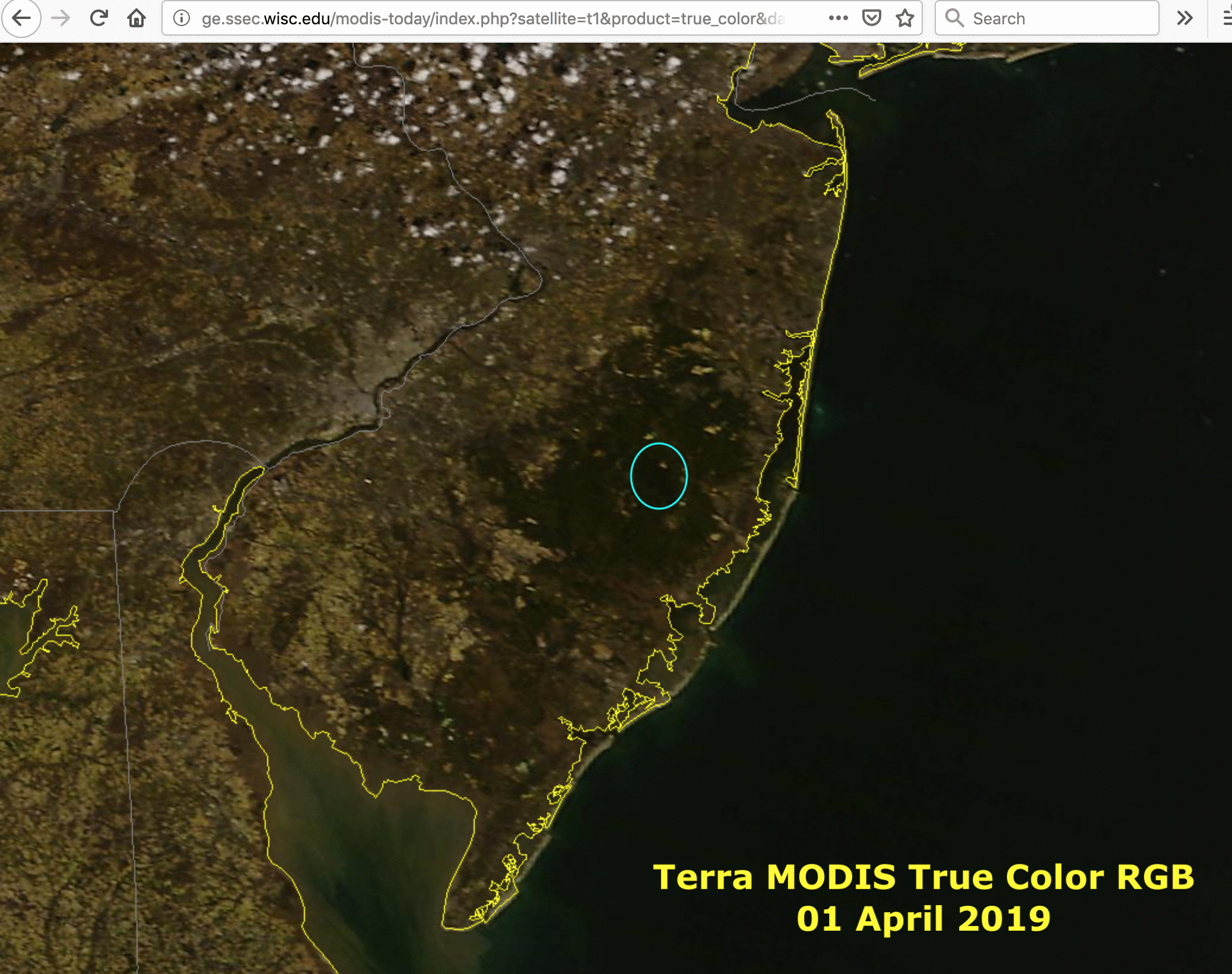 Terra MODIS True Color and False Color images on 01 April [cick to enlarge]