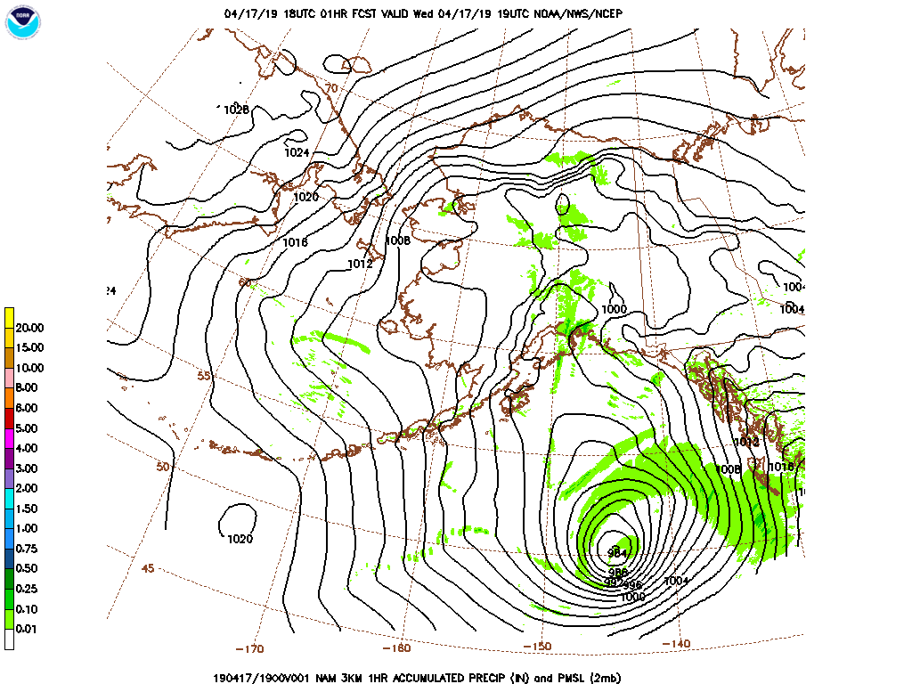 3-km NAM Mean Sea Level Pressure and 1-hour accumulated precipitation [click to enlarge]