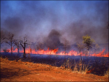 Biomass Burning