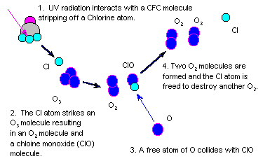 Image result for ozone depletion reaction