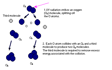 ozone molecule